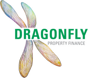 dragonfly finance